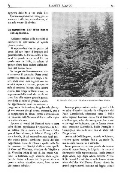 L'alpe rivista forestale italiana fondata dalla Società emiliana pro-montibus et sylvis