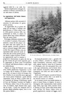 giornale/TO00174164/1931/unico/00000089