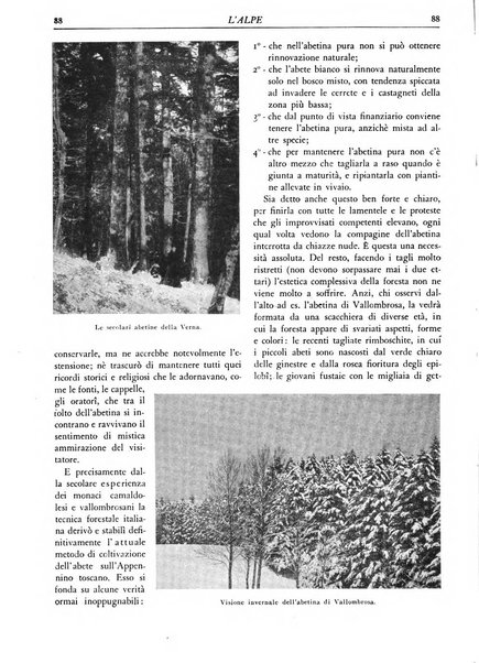 L'alpe rivista forestale italiana fondata dalla Società emiliana pro-montibus et sylvis