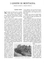 giornale/TO00174164/1931/unico/00000098