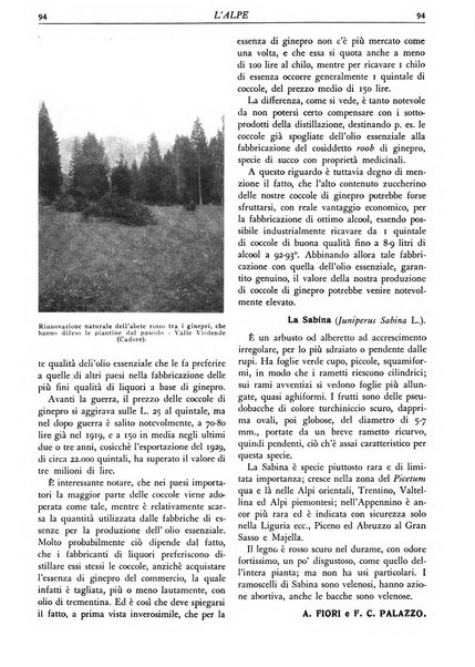 L'alpe rivista forestale italiana fondata dalla Società emiliana pro-montibus et sylvis