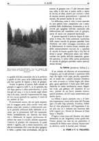 giornale/TO00174164/1931/unico/00000100