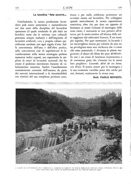 L'alpe rivista forestale italiana fondata dalla Società emiliana pro-montibus et sylvis