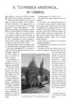 giornale/TO00174164/1931/unico/00000185