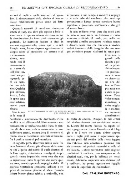 L'alpe rivista forestale italiana fondata dalla Società emiliana pro-montibus et sylvis