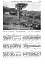 giornale/TO00174164/1931/unico/00000275