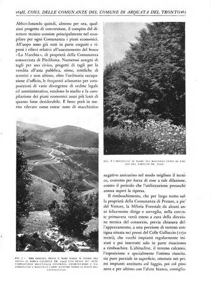 L'alpe rivista forestale italiana fondata dalla Società emiliana pro-montibus et sylvis