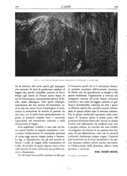 L'alpe rivista forestale italiana fondata dalla Società emiliana pro-montibus et sylvis