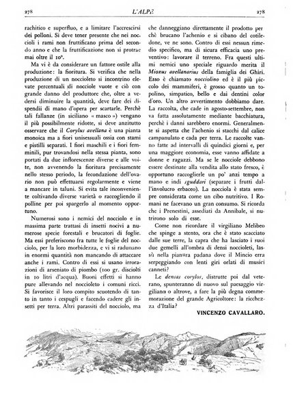 L'alpe rivista forestale italiana fondata dalla Società emiliana pro-montibus et sylvis