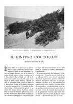 giornale/TO00174164/1931/unico/00000371