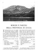 giornale/TO00174164/1931/unico/00000390