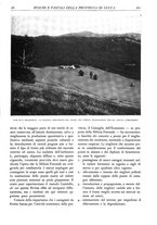 giornale/TO00174164/1931/unico/00000391