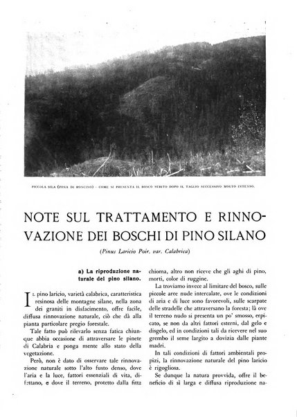 L'alpe rivista forestale italiana fondata dalla Società emiliana pro-montibus et sylvis