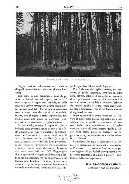 L'alpe rivista forestale italiana fondata dalla Società emiliana pro-montibus et sylvis