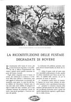 giornale/TO00174164/1931/unico/00000405