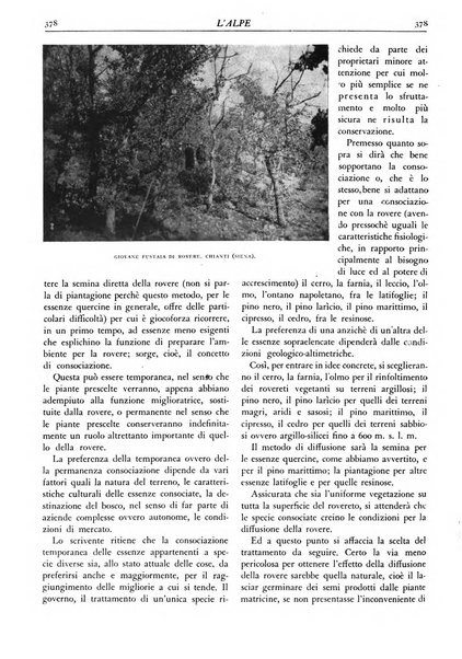 L'alpe rivista forestale italiana fondata dalla Società emiliana pro-montibus et sylvis