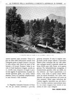 giornale/TO00174164/1931/unico/00000445