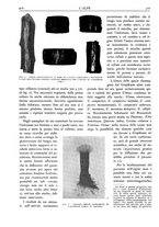 giornale/TO00174164/1931/unico/00000450