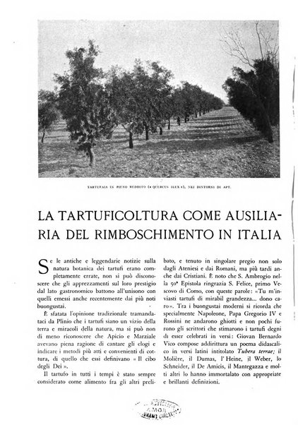 L'alpe rivista forestale italiana fondata dalla Società emiliana pro-montibus et sylvis