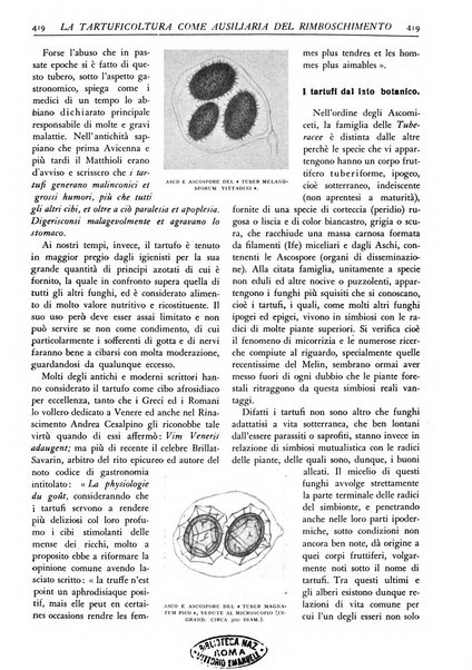 L'alpe rivista forestale italiana fondata dalla Società emiliana pro-montibus et sylvis