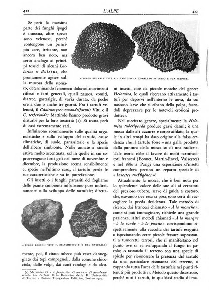 L'alpe rivista forestale italiana fondata dalla Società emiliana pro-montibus et sylvis