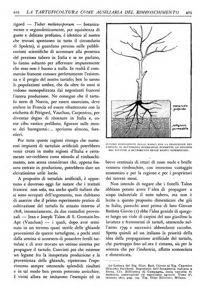 L'alpe rivista forestale italiana fondata dalla Società emiliana pro-montibus et sylvis