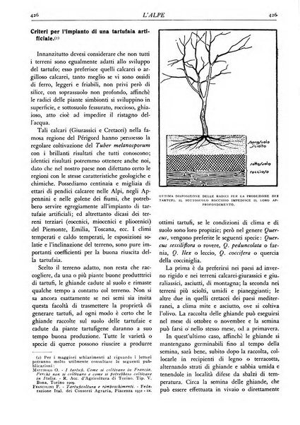 L'alpe rivista forestale italiana fondata dalla Società emiliana pro-montibus et sylvis