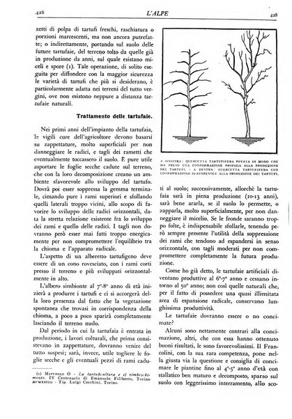 L'alpe rivista forestale italiana fondata dalla Società emiliana pro-montibus et sylvis