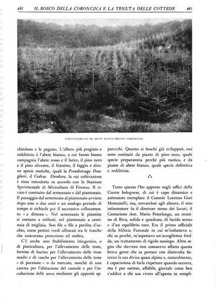 L'alpe rivista forestale italiana fondata dalla Società emiliana pro-montibus et sylvis