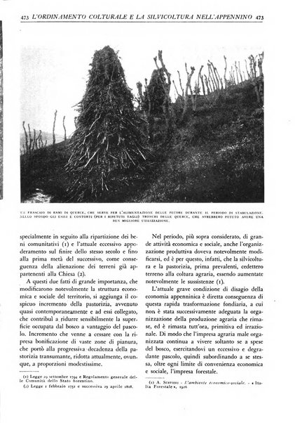 L'alpe rivista forestale italiana fondata dalla Società emiliana pro-montibus et sylvis