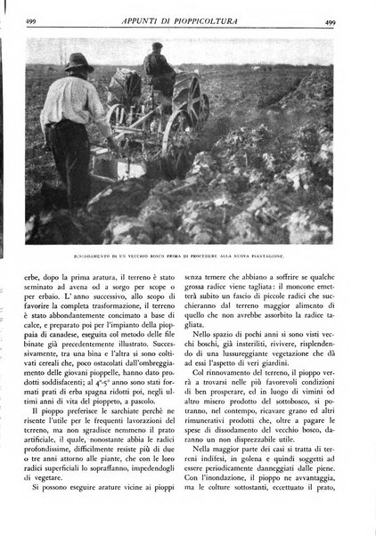 L'alpe rivista forestale italiana fondata dalla Società emiliana pro-montibus et sylvis