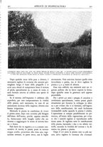 giornale/TO00174164/1931/unico/00000543