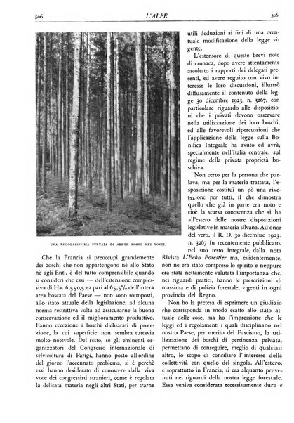 L'alpe rivista forestale italiana fondata dalla Società emiliana pro-montibus et sylvis