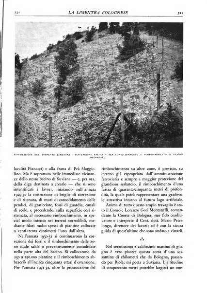 L'alpe rivista forestale italiana fondata dalla Società emiliana pro-montibus et sylvis