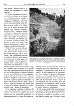 giornale/TO00174164/1931/unico/00000565