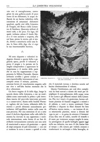 L'alpe rivista forestale italiana fondata dalla Società emiliana pro-montibus et sylvis