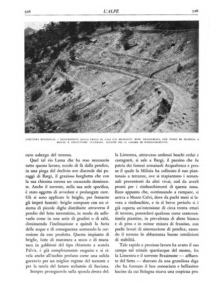 L'alpe rivista forestale italiana fondata dalla Società emiliana pro-montibus et sylvis