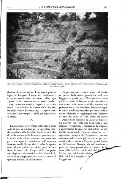 L'alpe rivista forestale italiana fondata dalla Società emiliana pro-montibus et sylvis