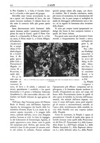 L'alpe rivista forestale italiana fondata dalla Società emiliana pro-montibus et sylvis