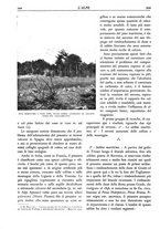 giornale/TO00174164/1931/unico/00000590