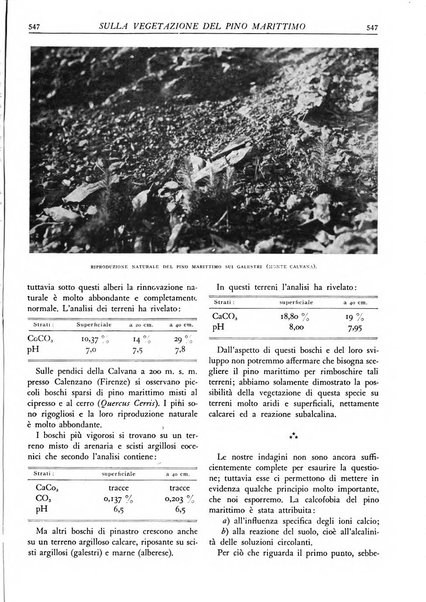 L'alpe rivista forestale italiana fondata dalla Società emiliana pro-montibus et sylvis