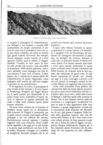 L'alpe rivista forestale italiana fondata dalla Società emiliana pro-montibus et sylvis