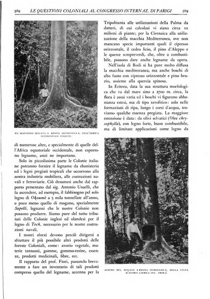 L'alpe rivista forestale italiana fondata dalla Società emiliana pro-montibus et sylvis