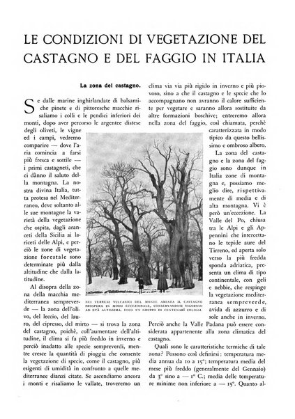 L'alpe rivista forestale italiana fondata dalla Società emiliana pro-montibus et sylvis