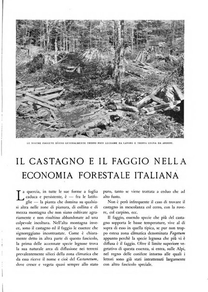 L'alpe rivista forestale italiana fondata dalla Società emiliana pro-montibus et sylvis