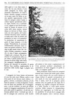 giornale/TO00174164/1931/unico/00000653