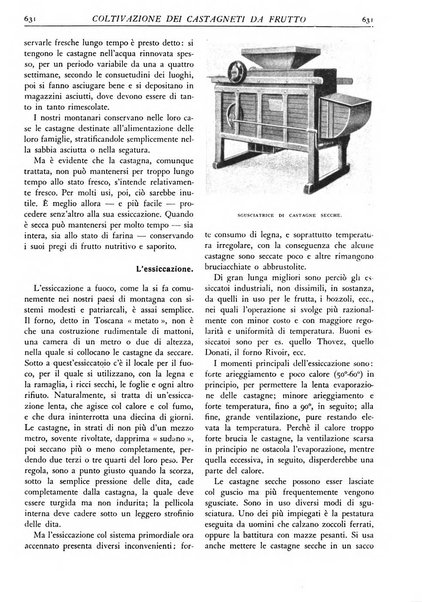 L'alpe rivista forestale italiana fondata dalla Società emiliana pro-montibus et sylvis