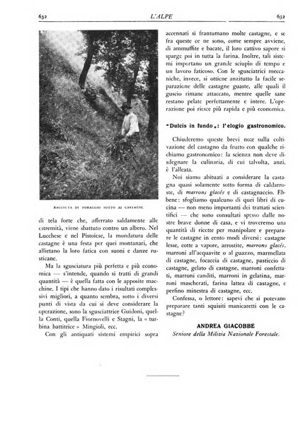 L'alpe rivista forestale italiana fondata dalla Società emiliana pro-montibus et sylvis