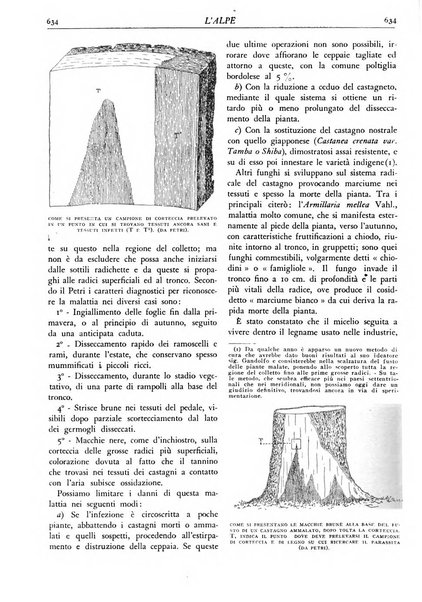 L'alpe rivista forestale italiana fondata dalla Società emiliana pro-montibus et sylvis