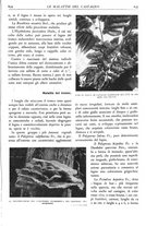 giornale/TO00174164/1931/unico/00000685